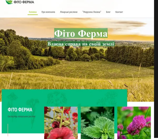 «Фіто Ферма» — постачальник дикорослих трав, коріння та квітів 